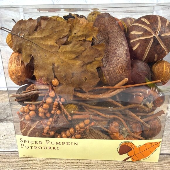 World Market Other - Spiced Pumpkin Potpourri World Market Fall Harvest Home Table Décor Bowl Filler